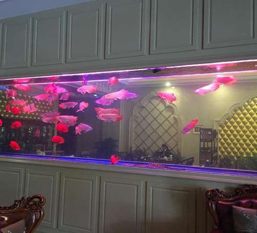 武漢豪華魚(yú)缸定做案例